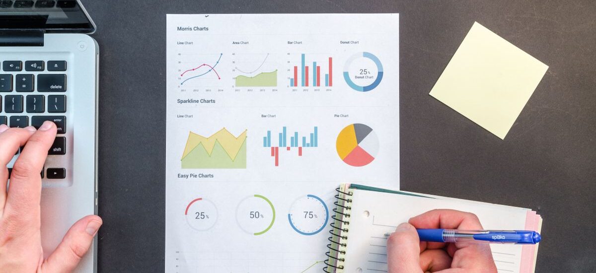 İş analitiği raporları